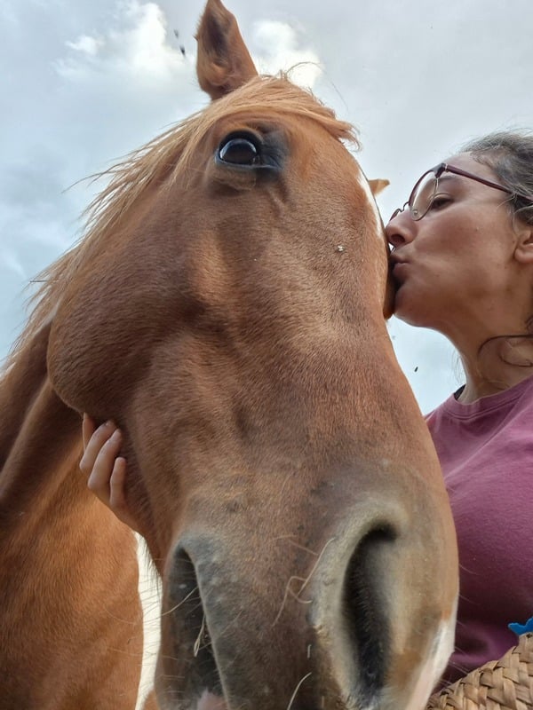 Mindfulness con caballos 3