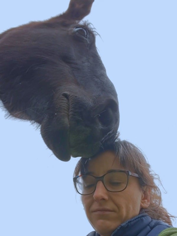 Mindfulness con caballos 4